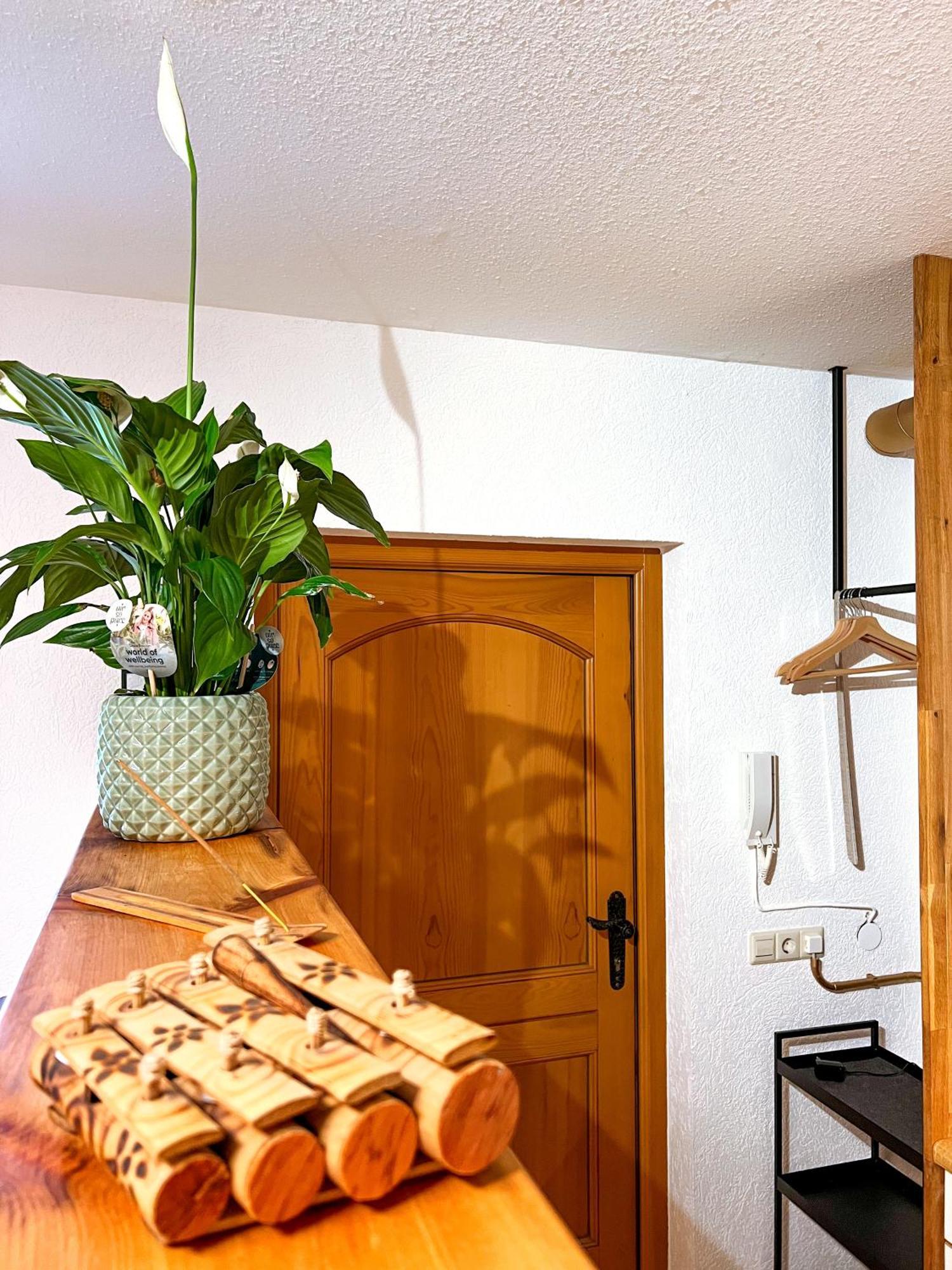 Appartement Cozy Vibes à Michelbach an Der Bilz Extérieur photo